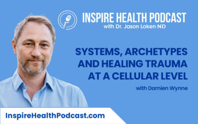 Episode 90: Systems, Archetypes and Healing Trauma at a Cellular Level with Damien Wynne